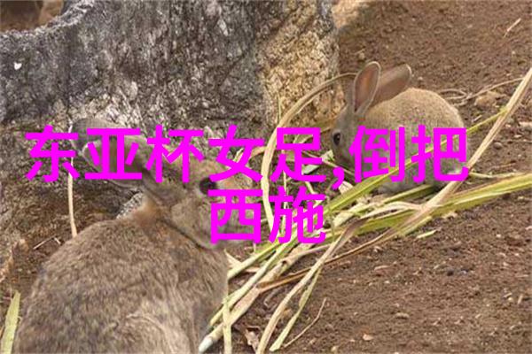 陶瓷协会组织机构